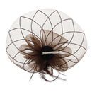 Fascinator on Concord Beak Clip or Aliceband
