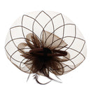 Fascinator on Concord Beak Clip or Aliceband