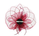 Fascinator on Concord Beak Clip or Aliceband