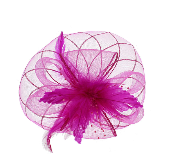 Fascinator on Concord Beak Clip or Aliceband