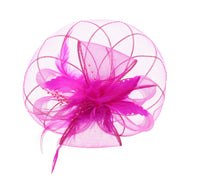 Fascinator on Concord Beak Clip or Aliceband