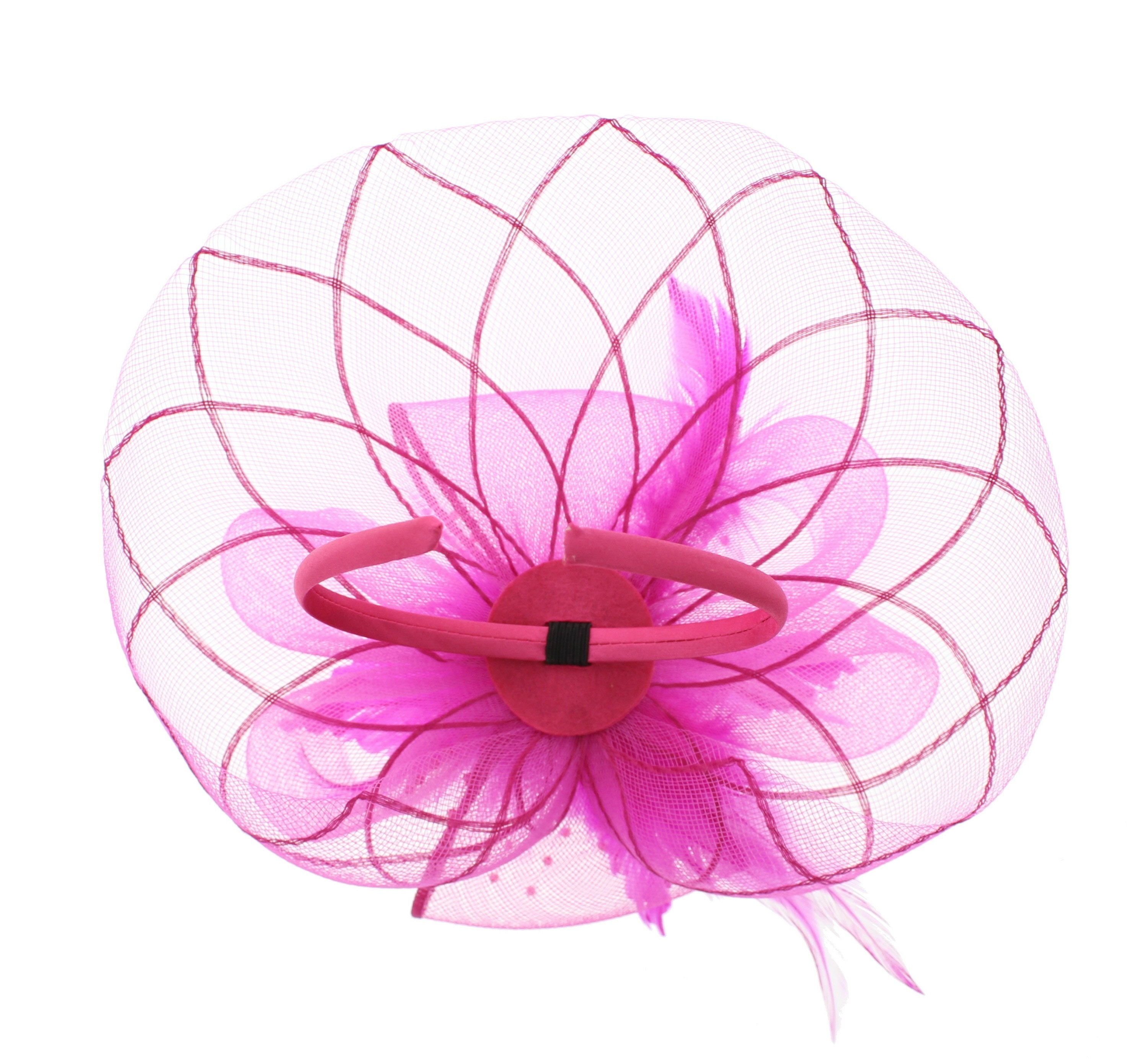 Fascinator on Concord Beak Clip or Aliceband