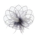 Fascinator on Concord Beak Clip or Aliceband