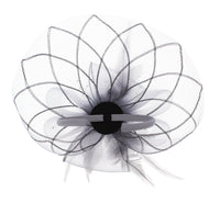 Fascinator on Concord Beak Clip or Aliceband