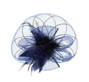 Fascinator on Concord Beak Clip or Aliceband