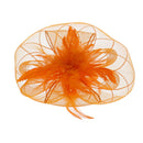 Fascinator on Concord Beak Clip or Aliceband
