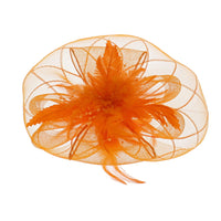Fascinator on Concord Beak Clip or Aliceband