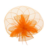 Fascinator on Concord Beak Clip or Aliceband