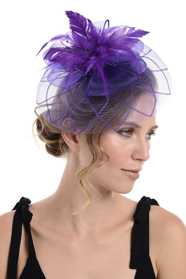 Fascinator on Concord Beak Clip or Aliceband