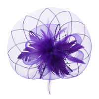 Fascinator on Concord Beak Clip or Aliceband