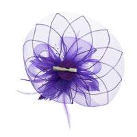 Fascinator on Concord Beak Clip or Aliceband