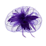 Fascinator on Concord Beak Clip or Aliceband