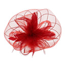 Fascinator on Concord Beak Clip or Aliceband
