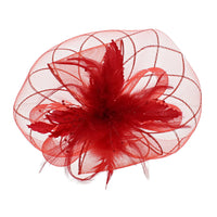 Fascinator on Concord Beak Clip or Aliceband