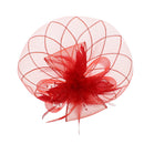 Fascinator on Concord Beak Clip or Aliceband
