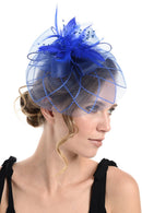 Fascinator on Concord Beak Clip or Aliceband