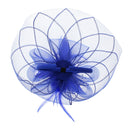 Fascinator on Concord Beak Clip or Aliceband