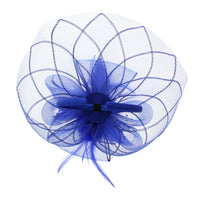 Fascinator on Concord Beak Clip or Aliceband