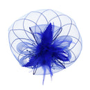 Fascinator on Concord Beak Clip or Aliceband