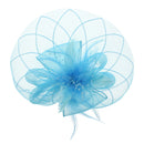 Fascinator on Concord Beak Clip or Aliceband
