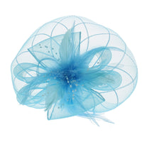 Fascinator on Concord Beak Clip or Aliceband