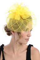 Fascinator on Concord Beak Clip or Aliceband