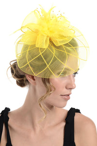 Fascinator on Concord Beak Clip or Aliceband