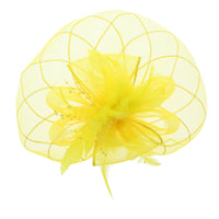 Fascinator on Concord Beak Clip or Aliceband