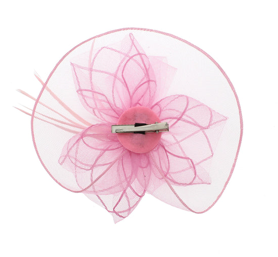 Fascinator on Concord Beak Clip or Aliceband