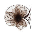 Fascinator on Concord Beak Clip or Aliceband