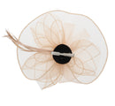 Fascinator on Concord Beak Clip or Aliceband