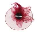 Fascinator on Concord Beak Clip or Aliceband