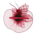 Fascinator on Concord Beak Clip or Aliceband