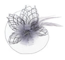 Fascinator on Concord Beak Clip or Aliceband