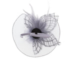 Fascinator on Concord Beak Clip or Aliceband