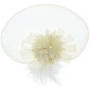 Fascinator on Concord Beak Clip or Aliceband
