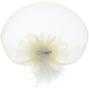 Fascinator on Concord Beak Clip or Aliceband