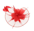 Fascinator on Concord Beak Clip or Aliceband