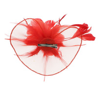 Fascinator on Concord Beak Clip or Aliceband