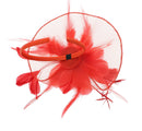 Fascinator on Concord Beak Clip or Aliceband
