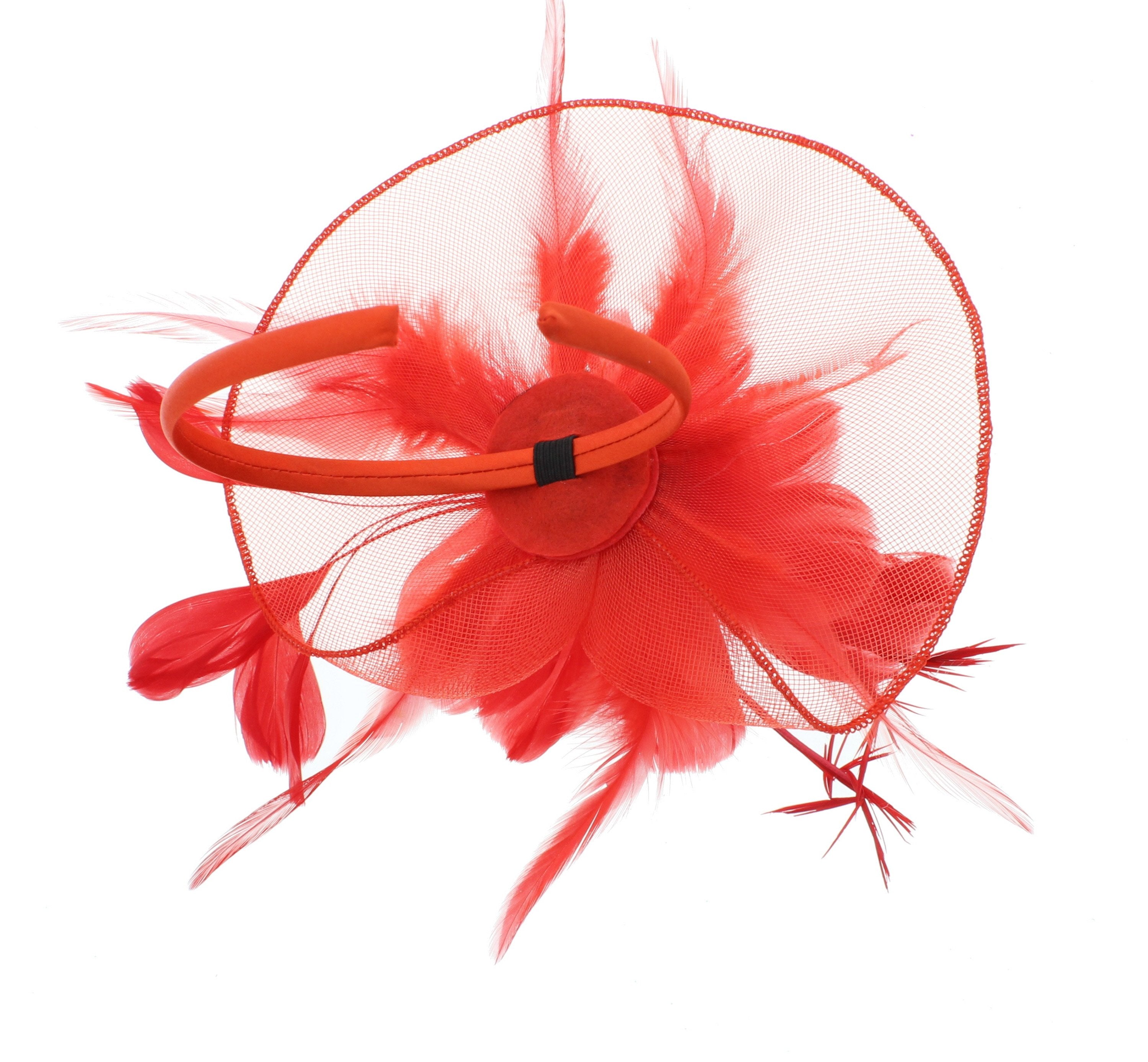 Fascinator on Concord Beak Clip or Aliceband