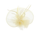 Fascinator on Concord Beak Clip