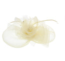 Fascinator on Concord Beak Clip