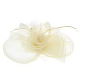 Fascinator on Concord Beak Clip