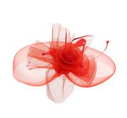 Fascinator on Concord Beak Clip
