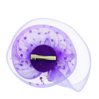 Fascinator on Concord Beak Clip