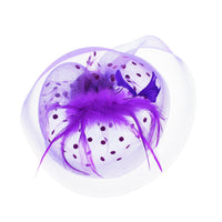 Fascinator on Concord Beak Clip