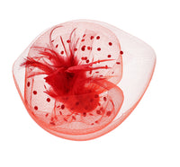 Fascinator on Concord Beak Clip