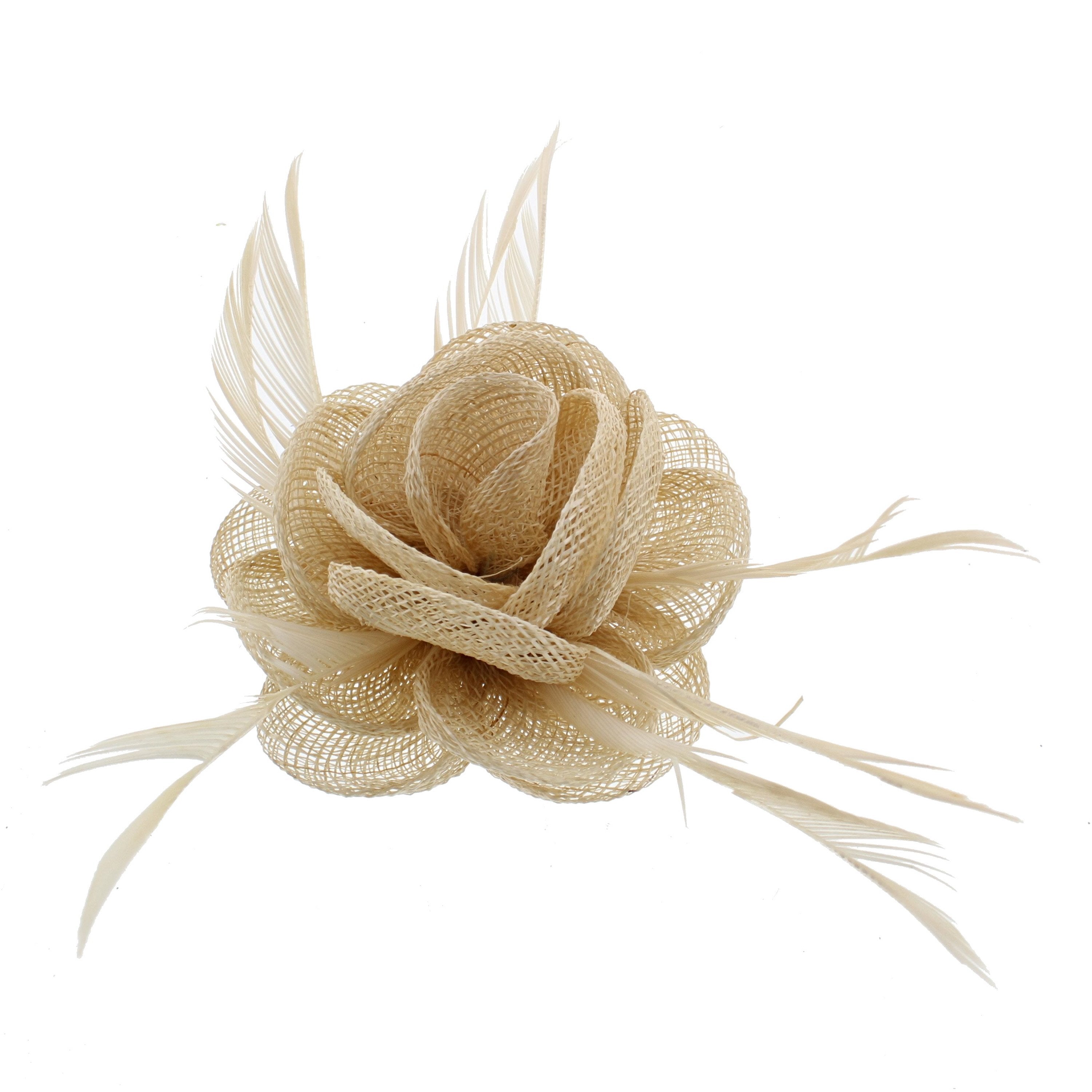 Fascinator On Concord Clip & Brooch Pin