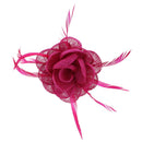 Fascinator On Concord Clip & Brooch Pin